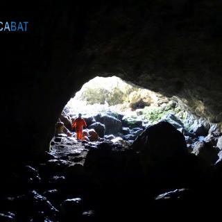 The sinkhole entrance, as seen from inside