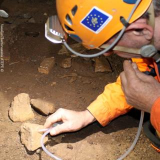 Collecting cave invertebrates