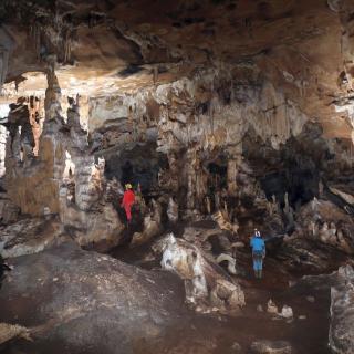 The bat nursery chamber.