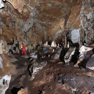 Decomposition of guano emmits CO2 that has corroded the rocks and decoration of the main chamber.