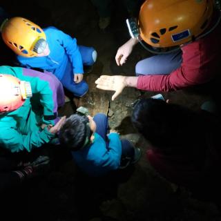 Εξετάζοντας ένα από τα σπηλαιόβια σαλιγκάρια του σπηλαίου