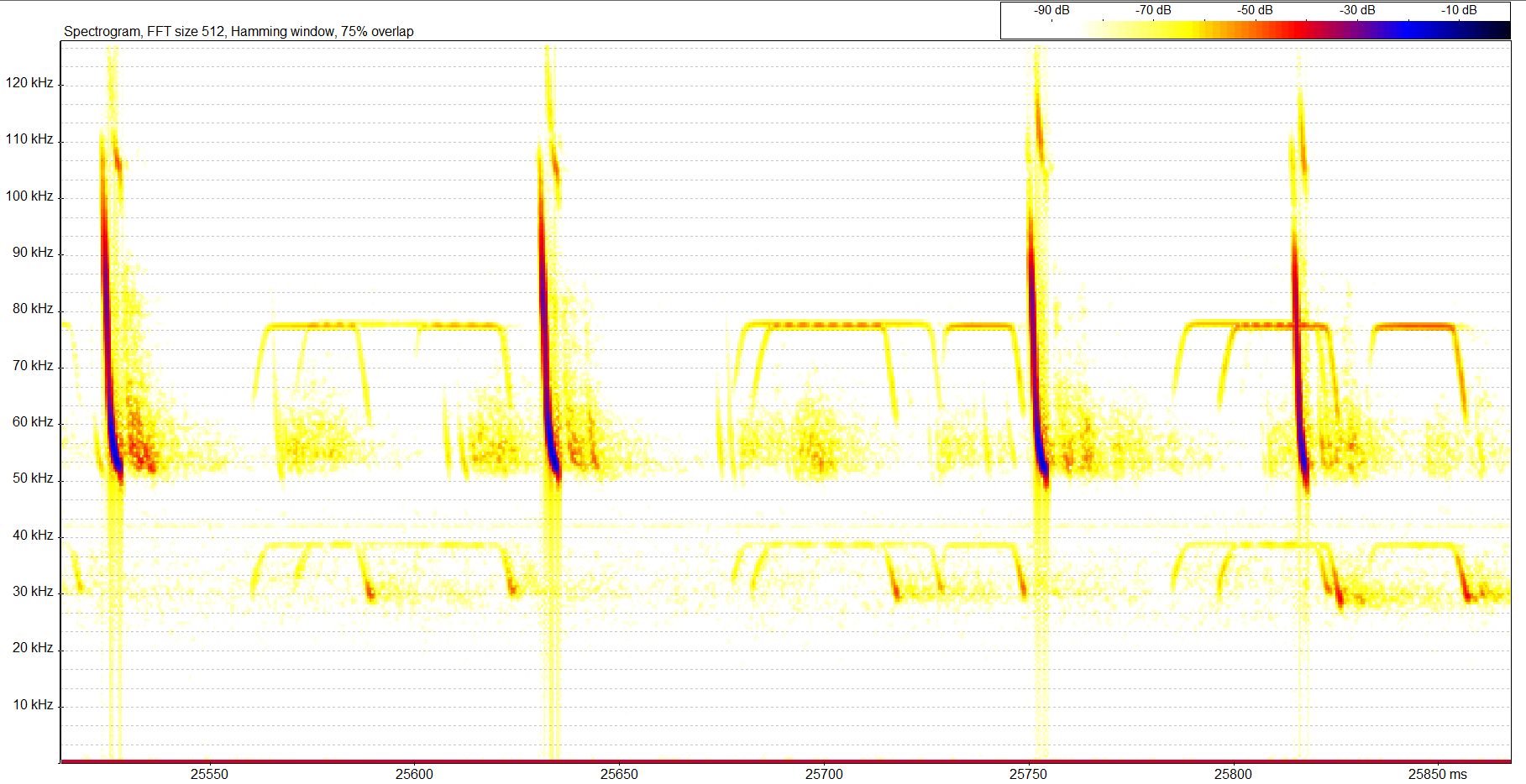 BAT ECHOLOCATION CALLS